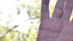 Vicente Fernandez Jr. se grabó en la habitación de hotel en Caracas