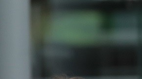 FC Internazionale v Atalanta BC - Serie A