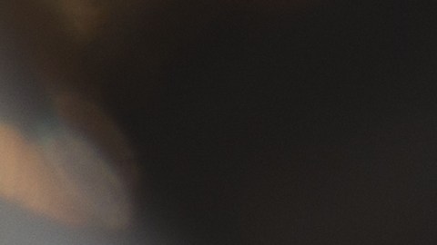 El dinero recaudado en la subasta se destinará a organizaciones benéficas como Marie Curie y Campaign Against Living Miserably.