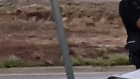 Fotografía de avisos de tránsito caídos sobre la vía tras el paso del ciclón Ágatha.