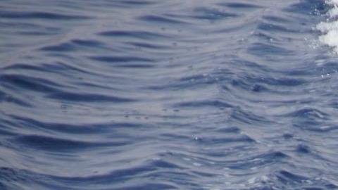 Carman fue encontrado solo en una balsa inflable frente a la costa de Rhode Island.