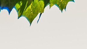 chipotle-dia-de-las-enfermeras