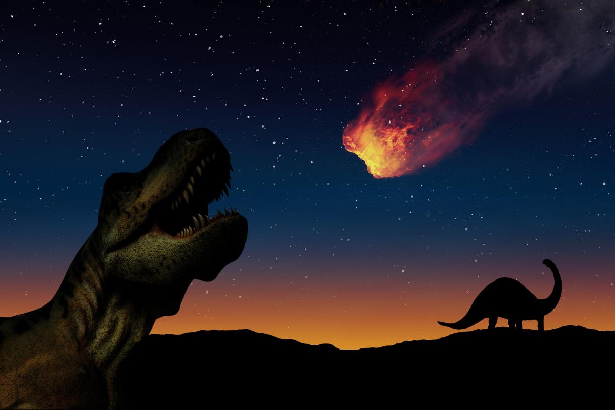 Científicos habrían encontrado fragmentos del asteroide que acabó con los  dinosaurios - El Diario NY