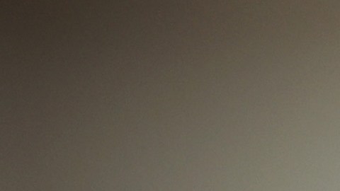 Elon Musk To Buy Twitter