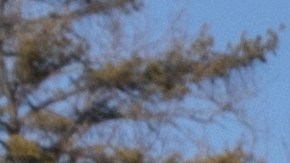 ford-expedition-navigator