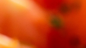 Pescado con vegetales