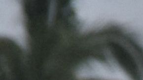 Detienen al presunto autor intelectual del homicidio de dos canadienses en México