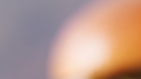 Sándwich de carne deshebrada de cerdo