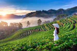 Vietnam: Un viaje de consciencia