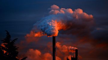 La contaminación industrial y la química, son el principal problema de las muertes.