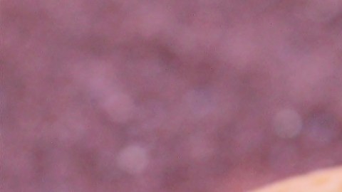 La maestra decoró las galletas con fórmulas de cálculo.