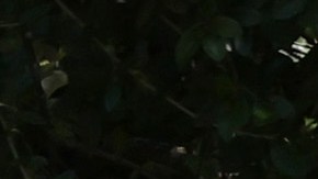 Mass Shooting At Elementary School In Uvalde, Texas Leaves At Least 21 Dead