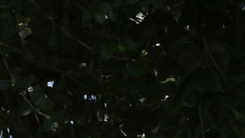 Mass Shooting At Elementary School In Uvalde, Texas Leaves At Least 21 Dead