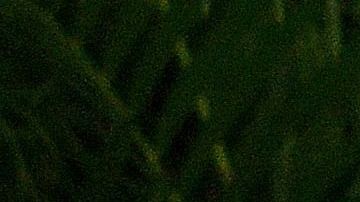 Cuba, Venezuela, Nicaragua.