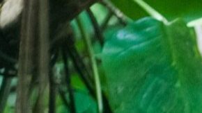 Jack Sparrow, personaje interpretado por Johnny Depp en 'Pirates of the Caribbean'.