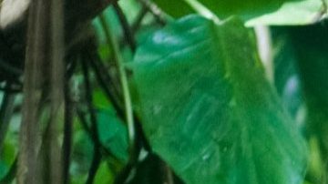 Jack Sparrow, personaje interpretado por Johnny Depp en 'Pirates of the Caribbean'.