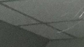 Dayana Mendoza, Miss Universo 2008, llama a boicotear el mes del Orgullo Gay.