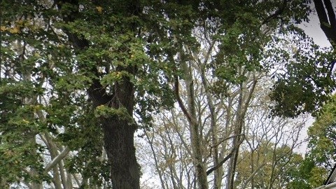 Flatlands Reformed Church, Brooklyn, NYC.