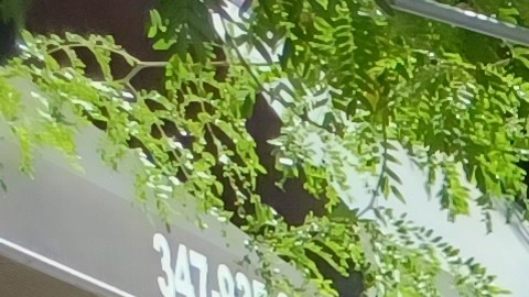 Arelia Taveras, líder de la Asociación de Restaurantes y Bares  Hispanos de Long Island promueve revisiones al programa de cenas al aire libre.