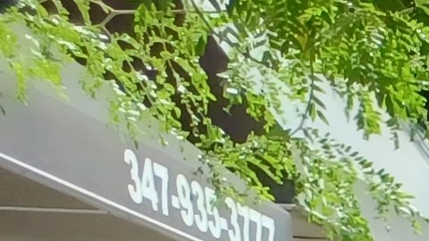 La dominicana Arelia Taveras, líder de la Asociación Latina de Restaurantes y Bares de NY estima que "hay ánimo" en comerciantes en dificultades por salvar sus negocios.