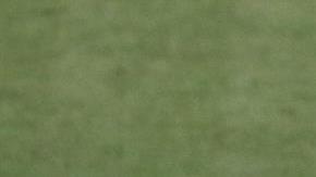 Estados Unidos venció 2-0 a Costa Rica en los Cuartos de Final del Campeonato Sub-20 de Concacaf.