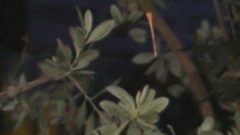 La actriz Daniella Navarro contó uno de sus más profundos secretos en 'La Casa de los Famosos'.