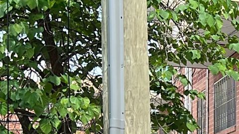 Vecindario ecuatoriano asesinado José Sumba González