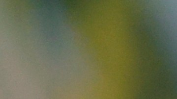 Marcelo se despide entre lágrimas: "Soy un afortunado"