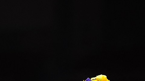BOXING-OLY-2020-2021-TOKYO-PODIUM