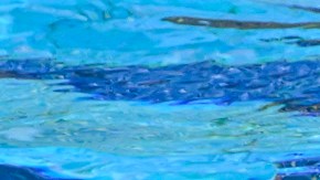FINA World Aquatics Championships