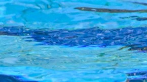 FINA World Aquatics Championships