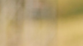 Germany Training Session In Marbella