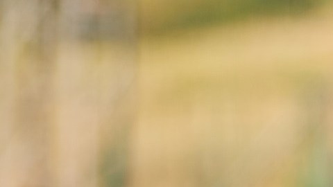 Germany Training Session In Marbella