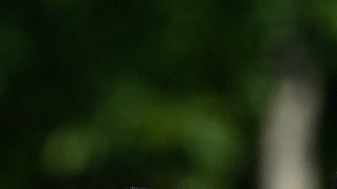 FBL-FRA-NATIONS-LEAGUE-TRAINING