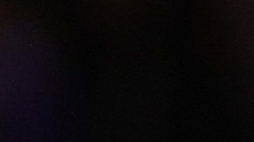 Boston Celtics pidio la liberación de Brittney Griner en medio de la Finales de la NBA