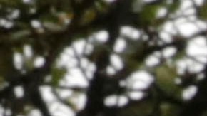 Los colombianos irán a las urnas el dominglo 19 de junio.