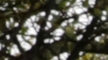 Los colombianos irán a las urnas el dominglo 19 de junio.