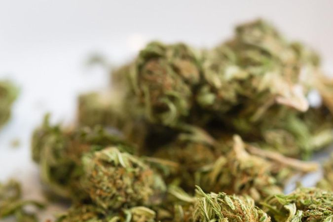 Marihuana y cáñamo no son exactamente lo mismo en la ley de EE.UU. Flores de marihuana