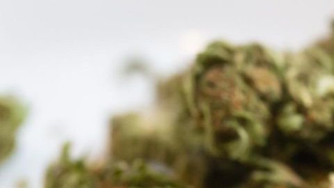 Marihuana