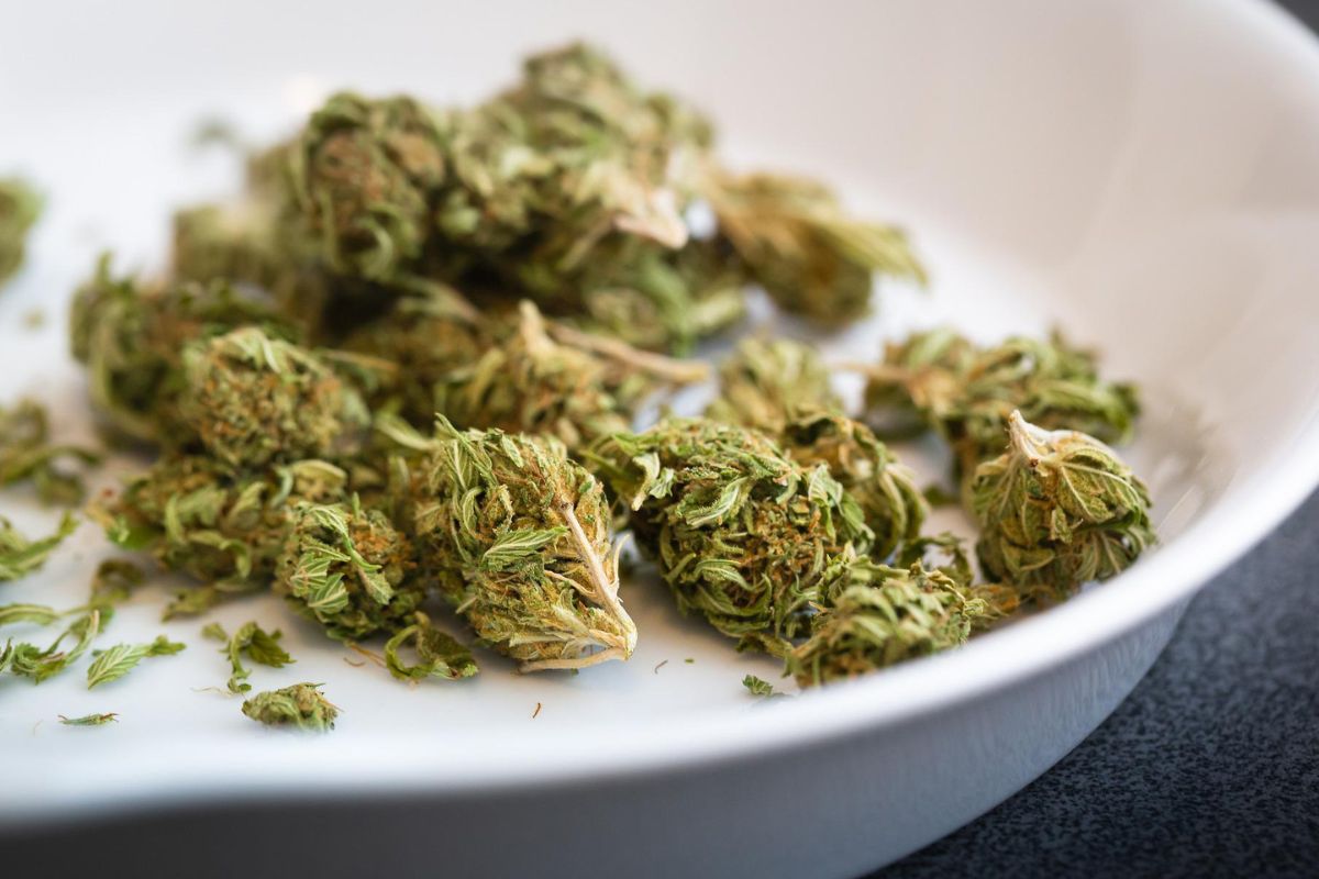 Arrestan en Luisiana a una madre que por descuido provocó que sus tres hijos pequeños comieran marihuana