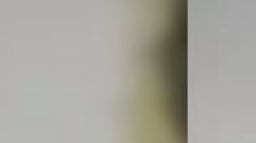 José Eduardo Duncan III