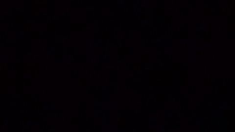 Elon Musk revela que megafábricas de Texas y Berlín están perdiendo "miles de millones de dólares"