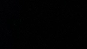 Elon Musk recesión inevitable