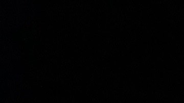 Elon Musk recesión inevitable