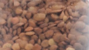 Ensalada de lentejas