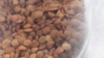 Ensalada de lentejas