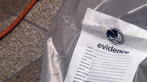 "Nueva York está sitiada por redes criminales de drogas que inundan las calles de nuestra ciudad con fentanilo".