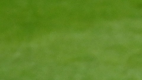 Fede Valverder habló de los elogios que Vinicius le lanzó tras la final de la Champions