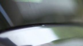 Gasolina