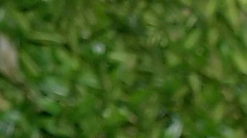 Ezra Miller tiene alojados a tres menores de edad en su granja llena de armas